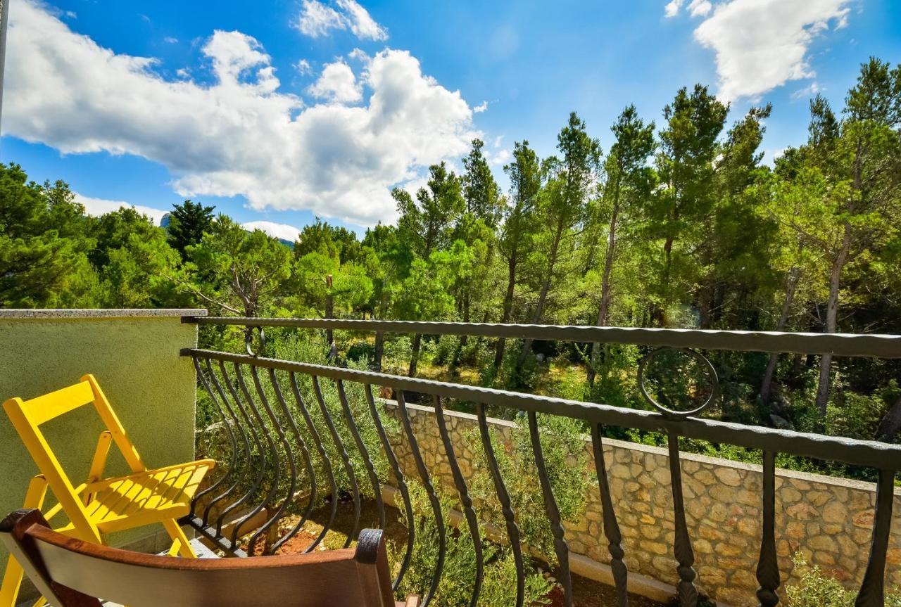 in olive garden Daire Starigrad Paklenica Dış mekan fotoğraf